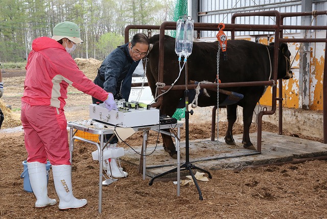 十勝管内広尾町　佐藤牧場