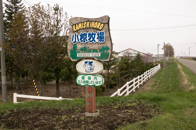 富良野市の三好牧場